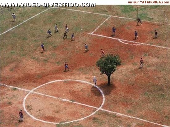 Futebol Em Africa